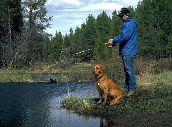 fishing colorado gore pass