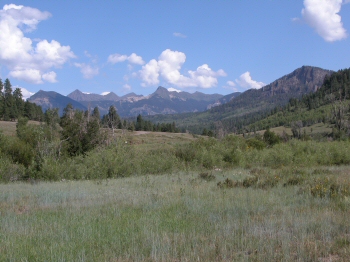 Williams Creek Colorado fishing