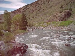 colorado fishing