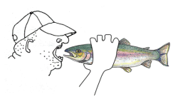 colorado fishing
