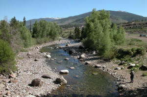 Trout Fishing Colorado