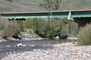 Trout Fishing Colorado