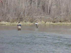 wading Trout Fishing Colorado