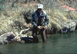 Marlowe fishing on Roaring Fork, Colorado