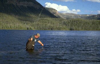 Catching a fish in the Flat Tops