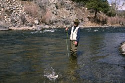 Trout Fishing Colorado