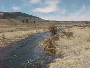 los pinos creek Colorado