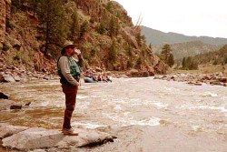 Colorado River stoneflies