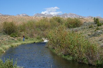 Colorado Trout Fishing North Park