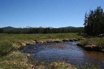 Colorado Trout Fishing North Park