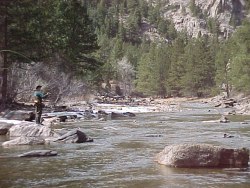 poudre river colorado