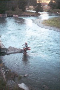 Uncompahgre fly fishing