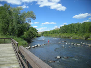 Rio Grande Colorado Fishing