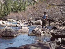 Colorado foothills fishing