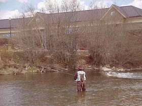 Trout Fishing Colorado