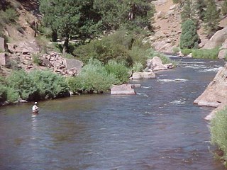 South Platte Colorado fishing