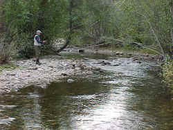 small stream fishing St. Louis Creek Colorado