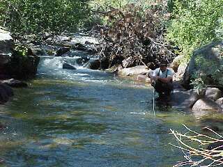 fishing south st. vrain creek in Colorado