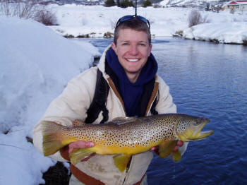 Yampa River Brown Trout