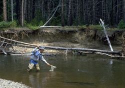 Colorado Fishing Network: Colorado River