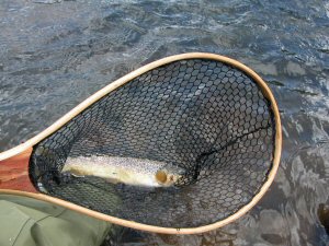 Pesca en el río Eagle en Colorado