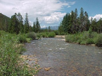 Snake River flowing through Keystone