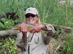 cutthroat Trout Fishing Colorado