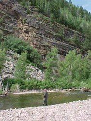Colorado Fishing Network: White River