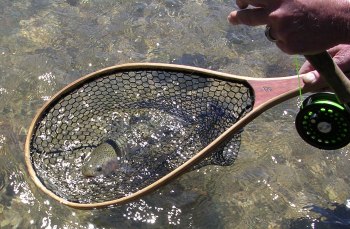 Snake River Rainbow