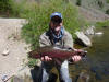 Taylor River Colorado Rainbow Trout